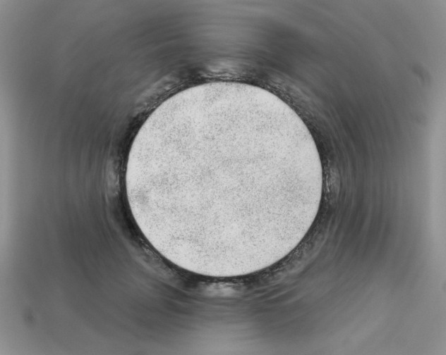 X0000112960751200910081046