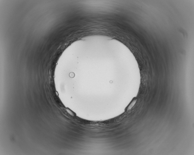 X0000112960752200910081046