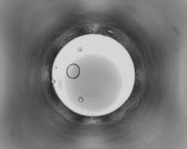 X0000112960754200910081046