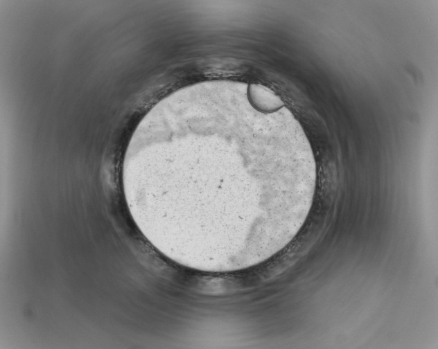 X0000112960755200910081046