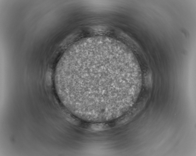 X0000112960757200910081046