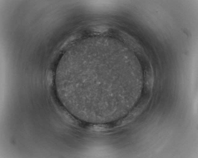 X0000112960758200910081046