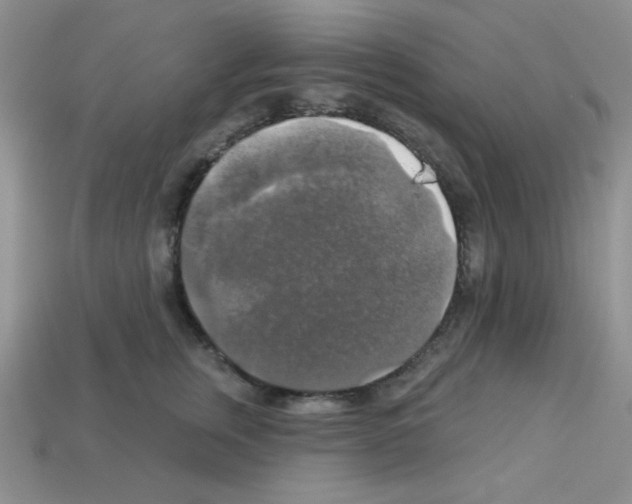 X0000112960759200910081046