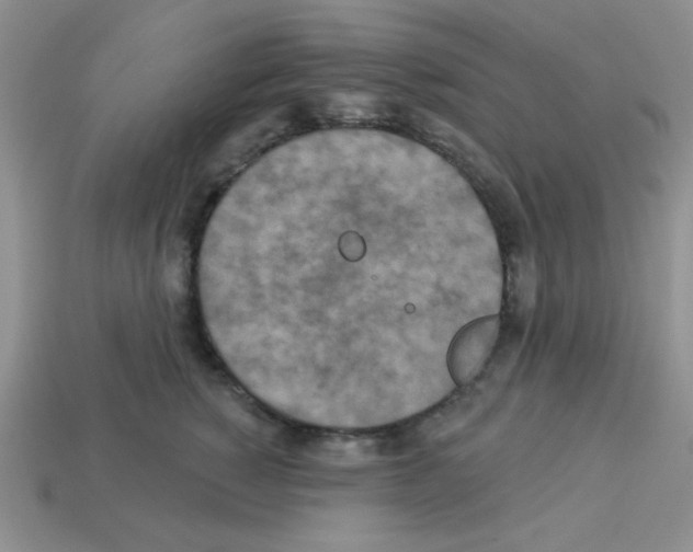 X0000112960760200910081046