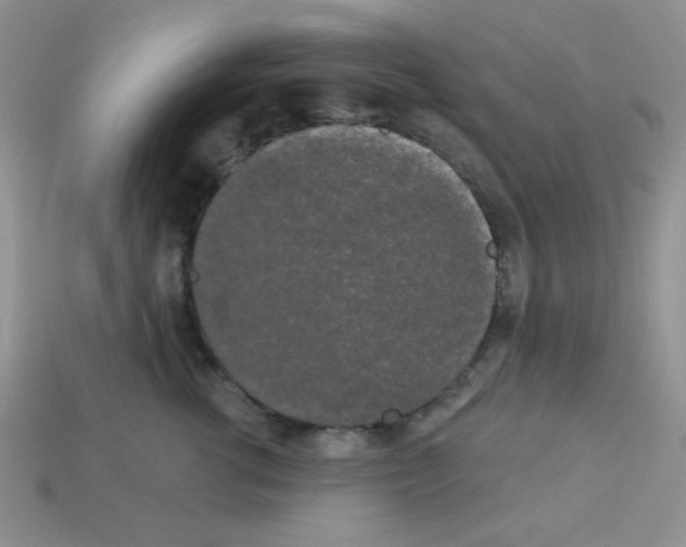 X0000112960762200910081046