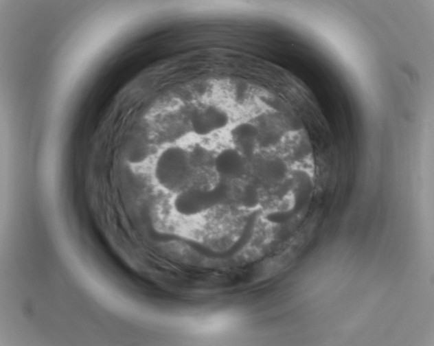 X0000112960765200910081046