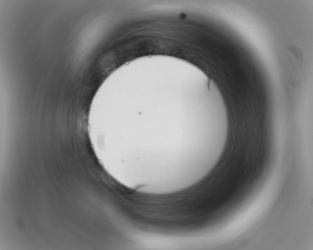 X0000112960766200910081046