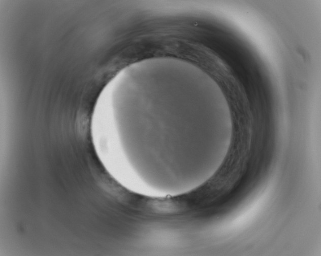 X0000112960767200910081046