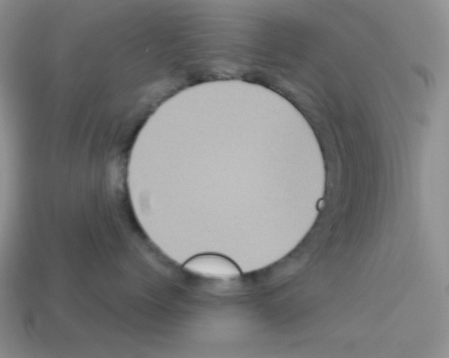 X0000112960768200910081046