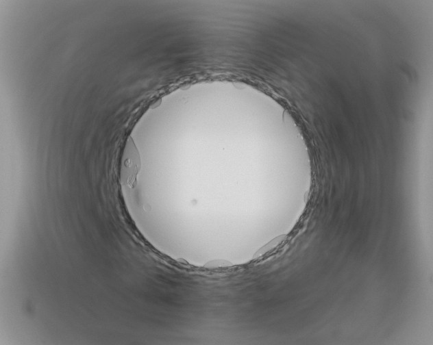 X0000112960769200910081045