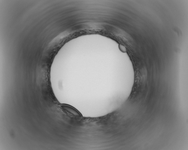 X0000112960773200910081045