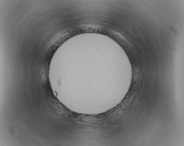 X0000112960774200910081045