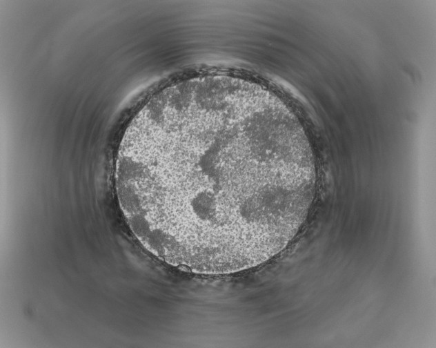 X0000112960775200910081045