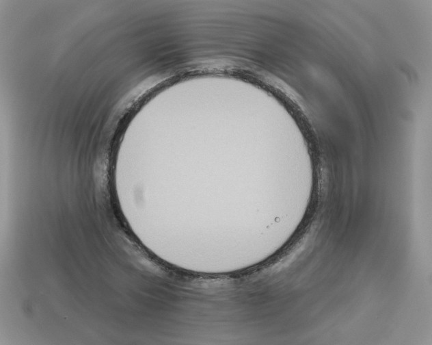 X0000112960778200910081045