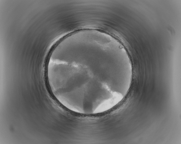 X0000112960779200910081045