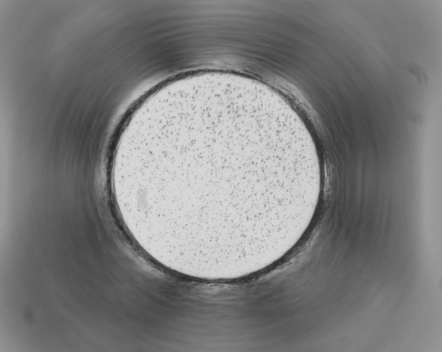 X0000112960780200910081045