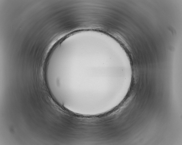 X0000112960781200910081045