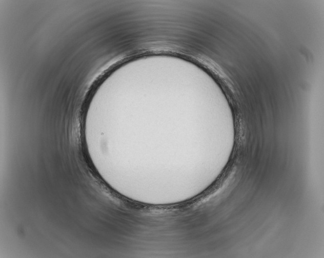 X0000112960782200910081045