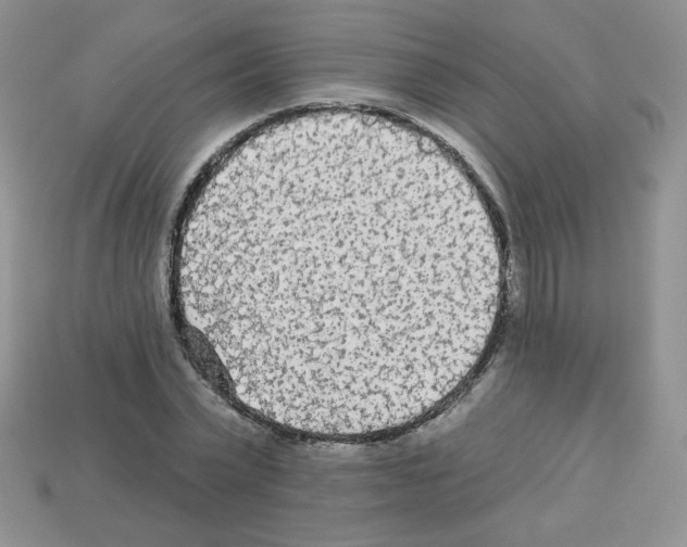 X0000112960783200910081045