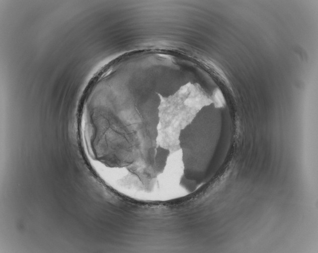 X0000112960784200910081045