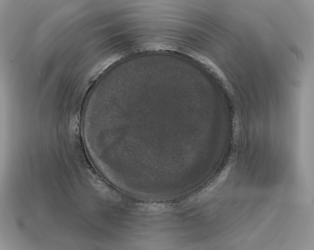 X0000112960785200910081045