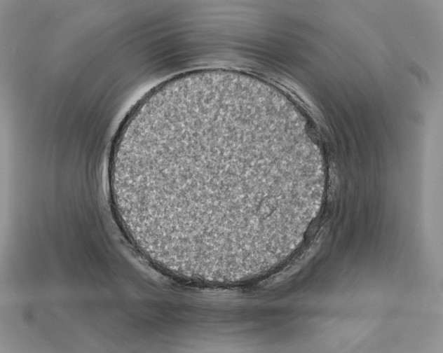 X0000112960788200910081045