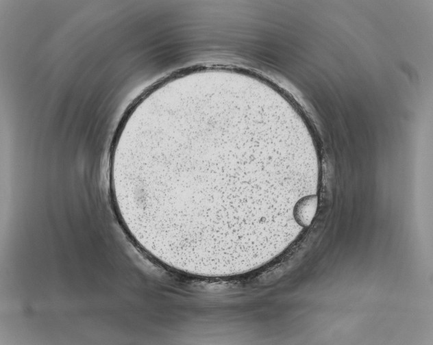 X0000112960791200910081045