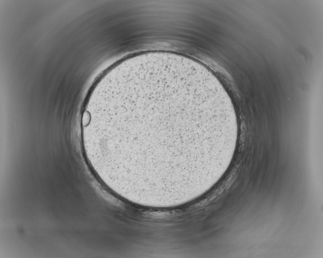 X0000112960792200910081045