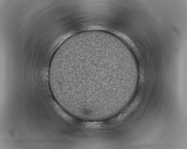 X0000112960793200910081045