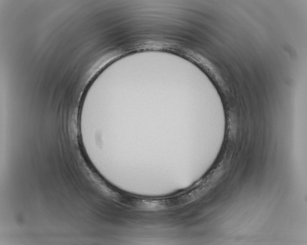 X0000112960794200910081044