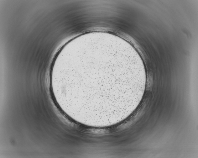 X0000112960795200910081044