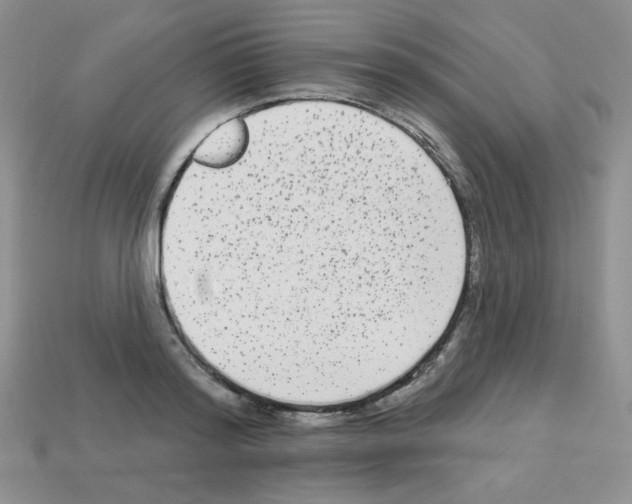 X0000112960796200910081044