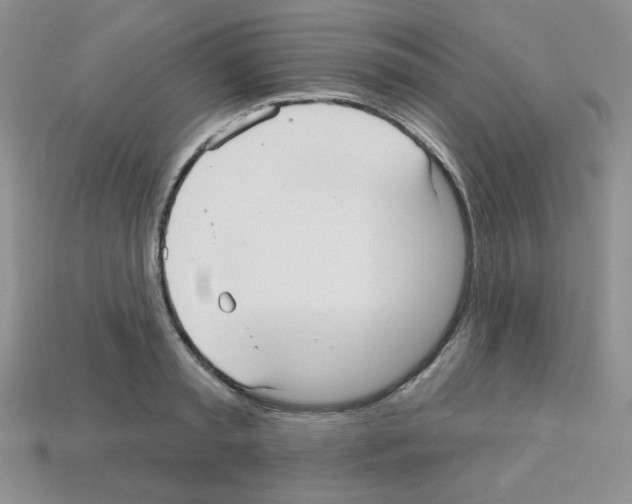 X0000112960797200910081044