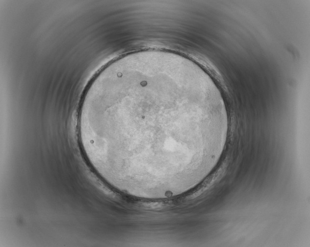 X0000112960798200910081044