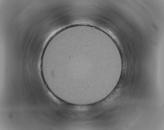 X0000112960799200910081044