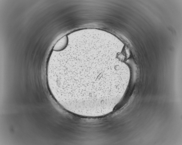 X0000112960800200910081044