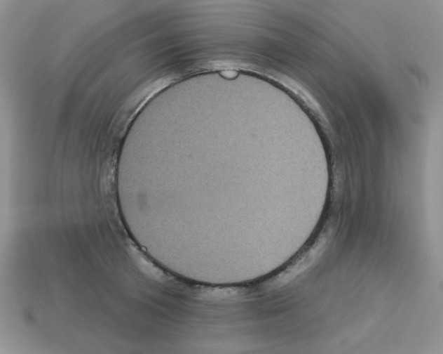 X0000112960801200910081044