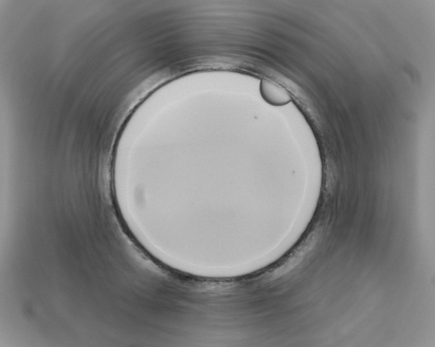 X0000112960802200910081044