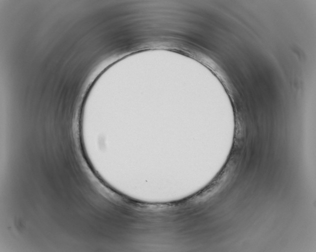 X0000112960803200910081044