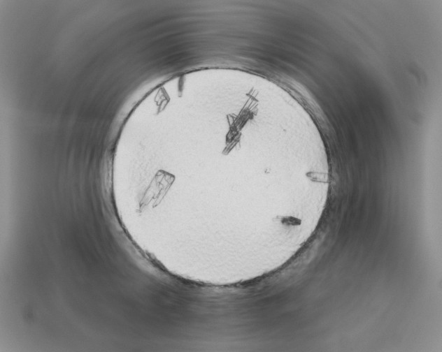 X0000112960804200910081044