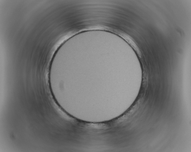 X0000112960805200910081044