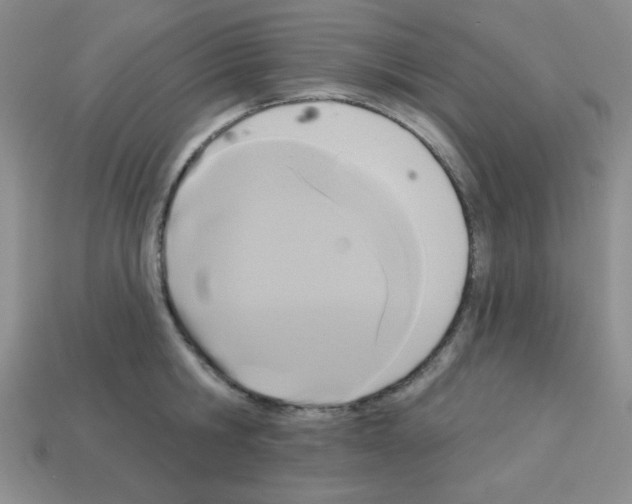 X0000112960806200910081044