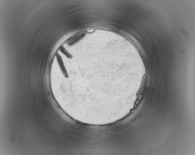 X0000112960812200910081044