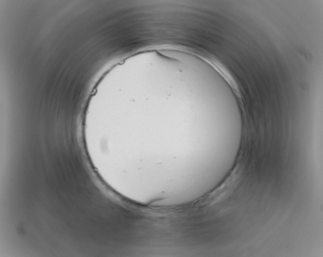 X0000112960813200910081044