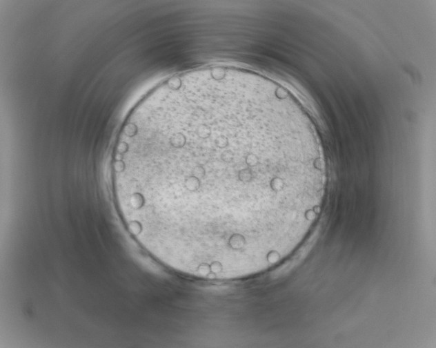 X0000112960814200910081044