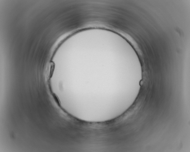 X0000112960815200910081044