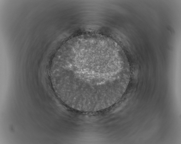 X0000112960817200910081044