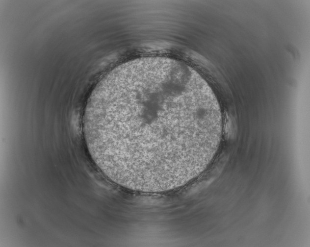 X0000112960819200910081044