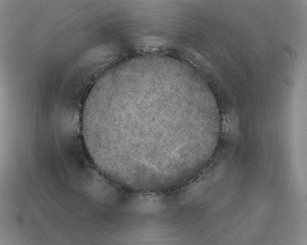 X0000112960820200910081044