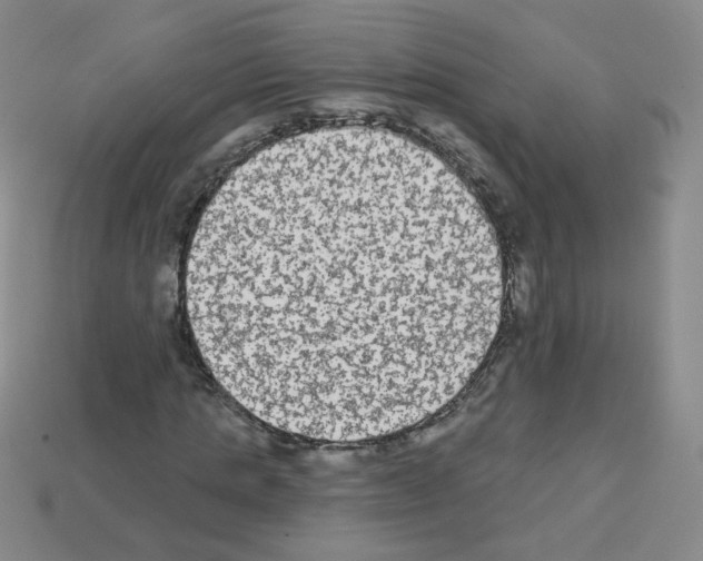 X0000112960821200910081044